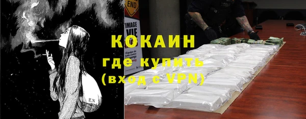 стаф Новодвинск