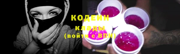 хмурый Нея
