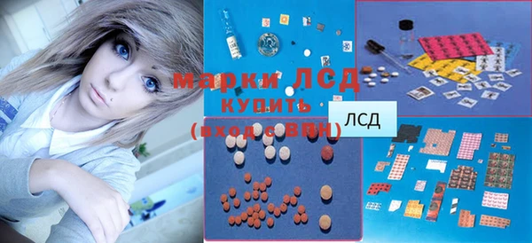 хмурый Нея