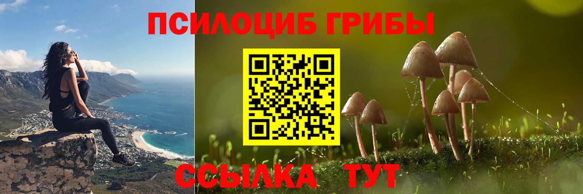 Фролово  Галлюциногенные грибы GOLDEN TEACHER  Вход с VPN 